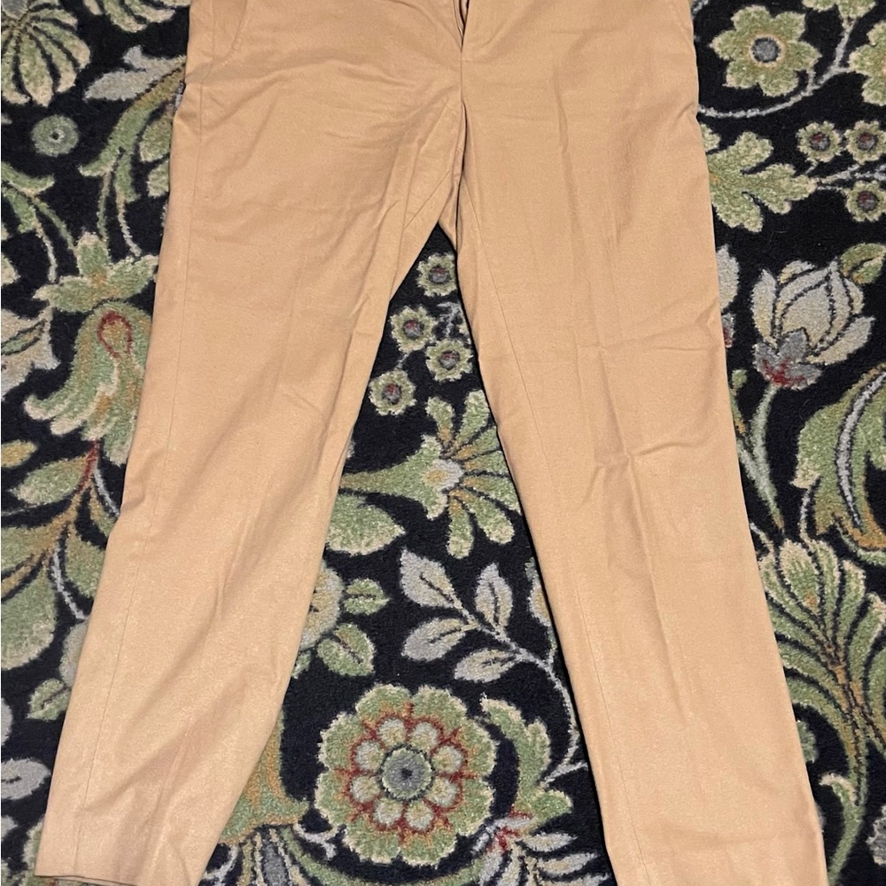 Banana Republic Camel Trousers